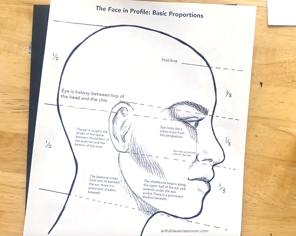 Illustration diagram of the face in profile basic proportions 